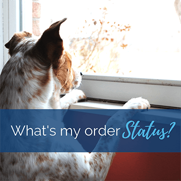 Whats My Order Status?